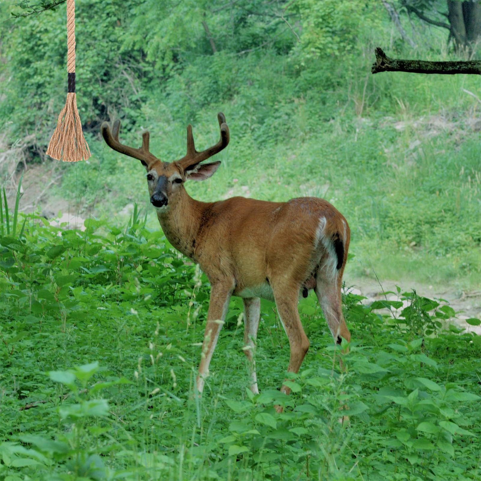 Deer Attractant Scent - Geyik Çekici Etkili Uzun Süreli Çekici