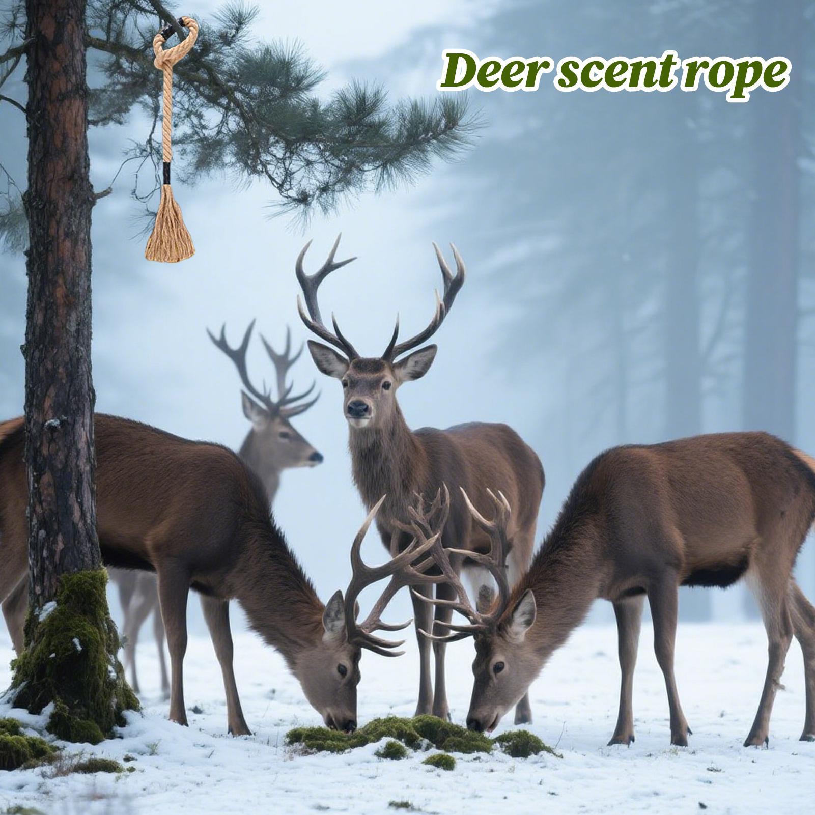 Geyik Kokusu İpi Etkili Uzun S - Deer Attractant Scent incelemesi ve fiyatı